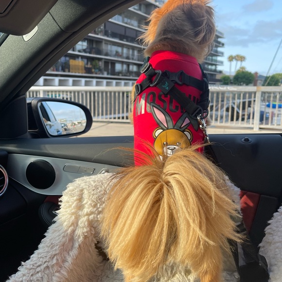 Christine *Scene* 🥳🤪 - Picture 15 of 16